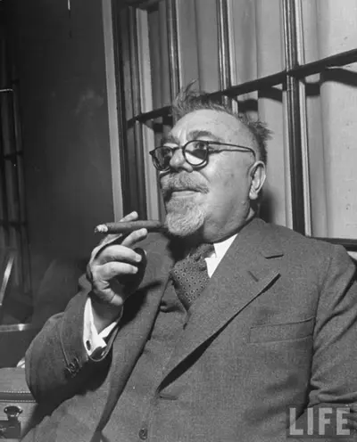 Wiener smoking a cigar in portrait, from LIFE magazine